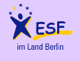 Footer logo 1