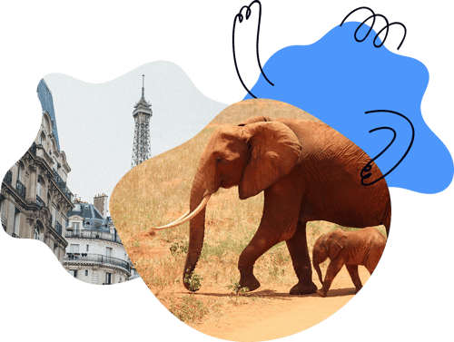 449269765-2211-bina-thebinaschool-web-curriculum_illustration-02