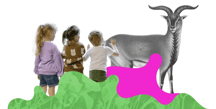 bina education and more info