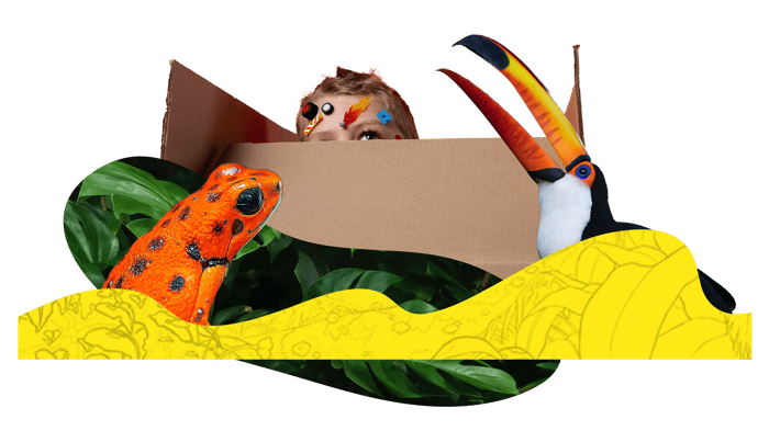 a collage of a frog and tucan with a kid peaking out of a box