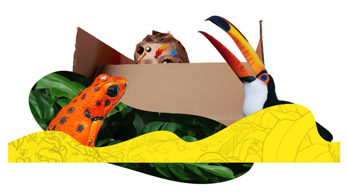 a collage of a frog and tucan with a kid peaking out of a box