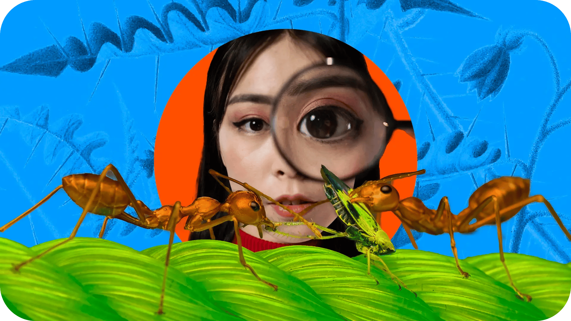 a woman looking trough a magnifying glass at two ants fighting over a delicious green leaf 