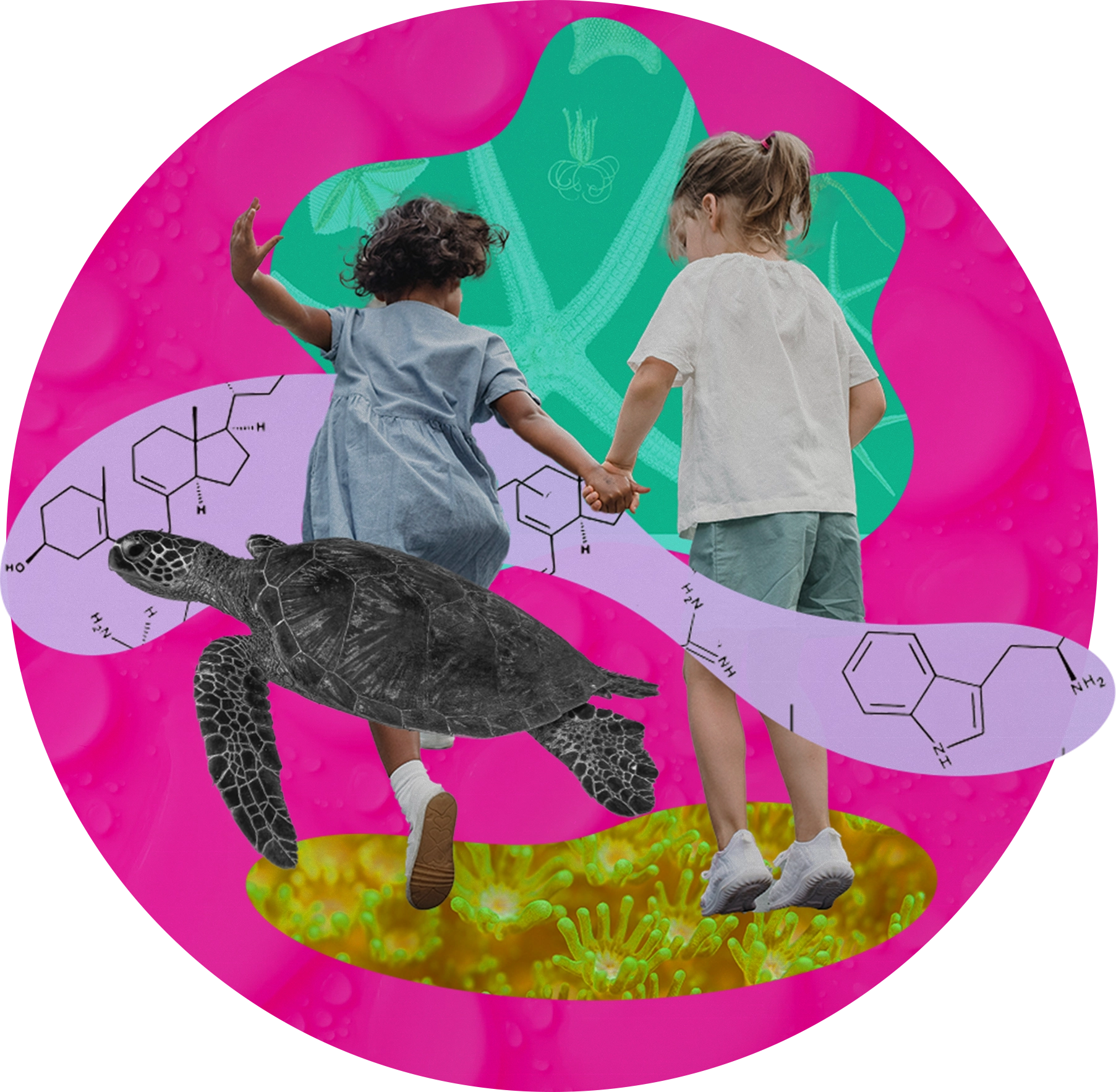 Bina-WEB-17
