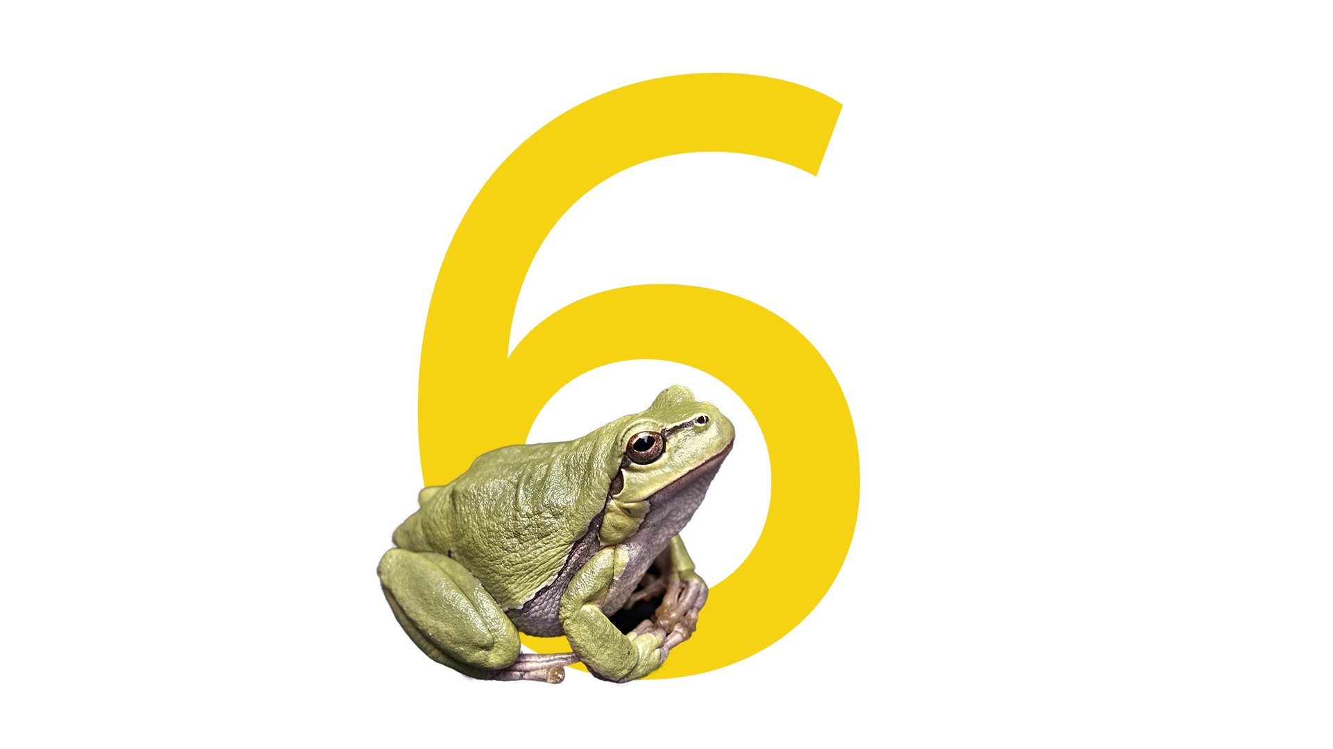 6