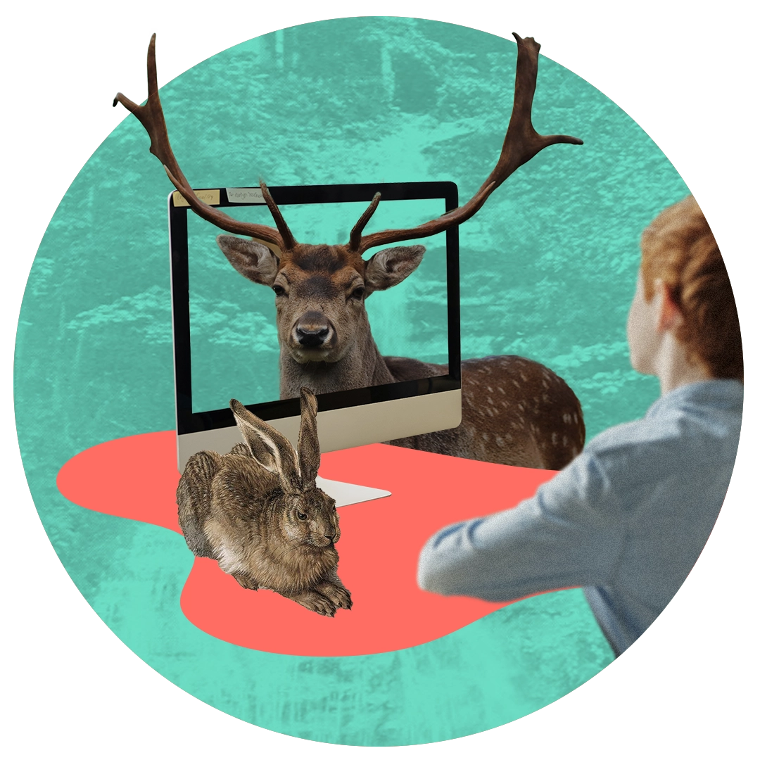 Bina-WEB-Programme-36