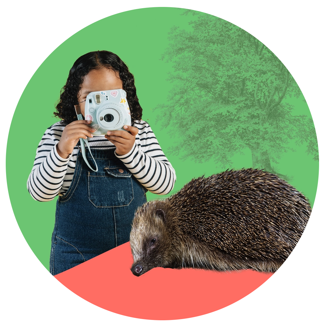 Bina-WEB-Programme-40