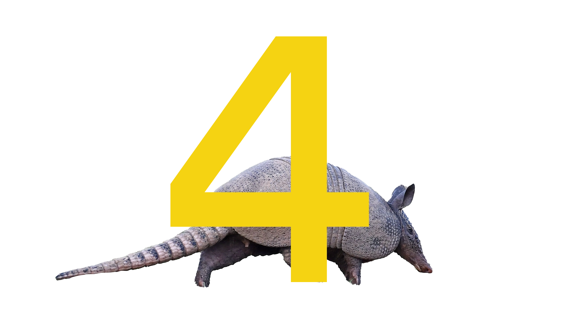 4