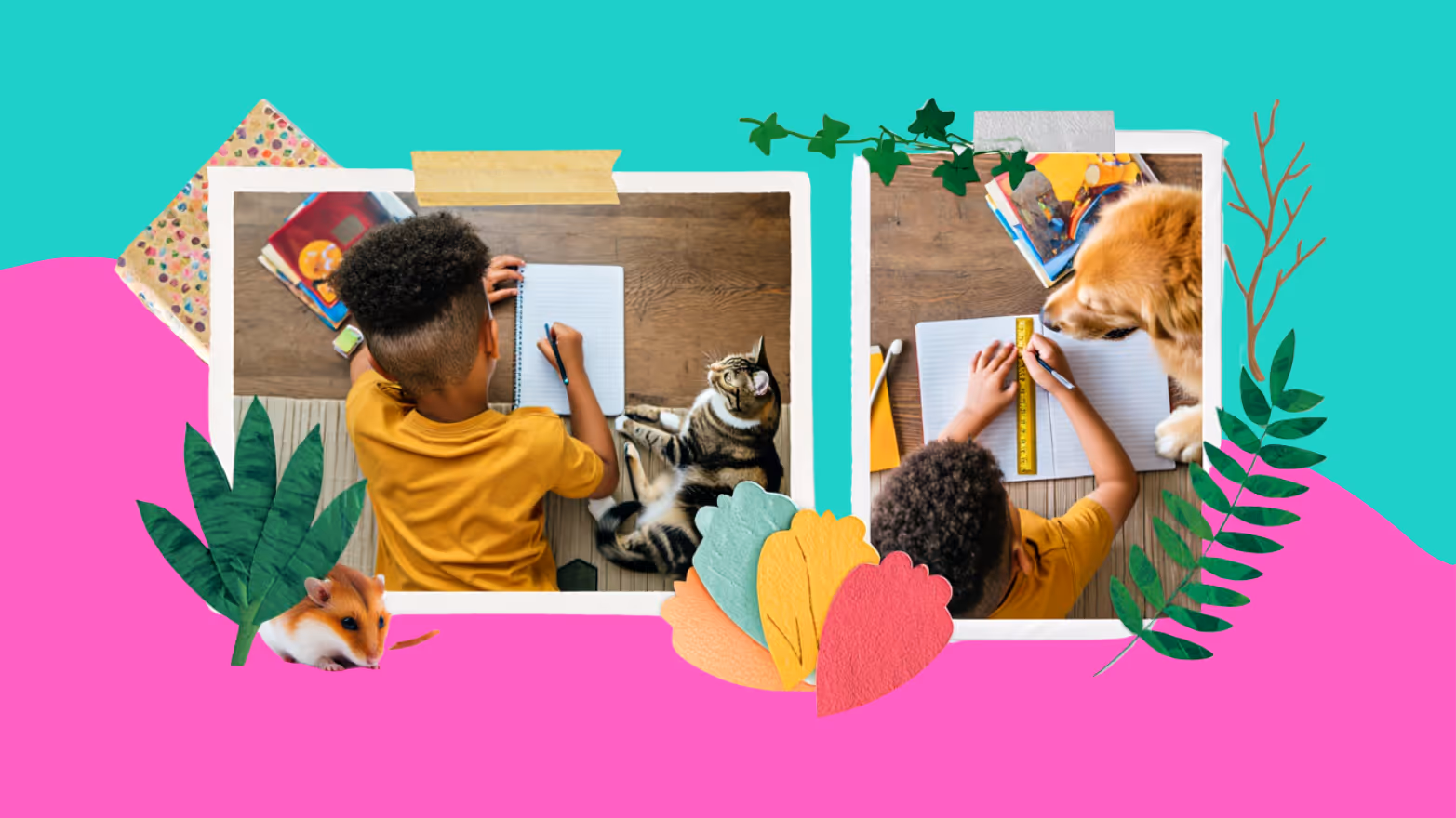 1st-Grade Homeschool Curriculum Resources and Tips