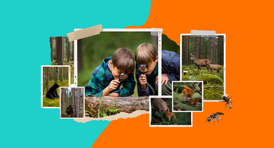 Kids learning about nature in an alternative forest school