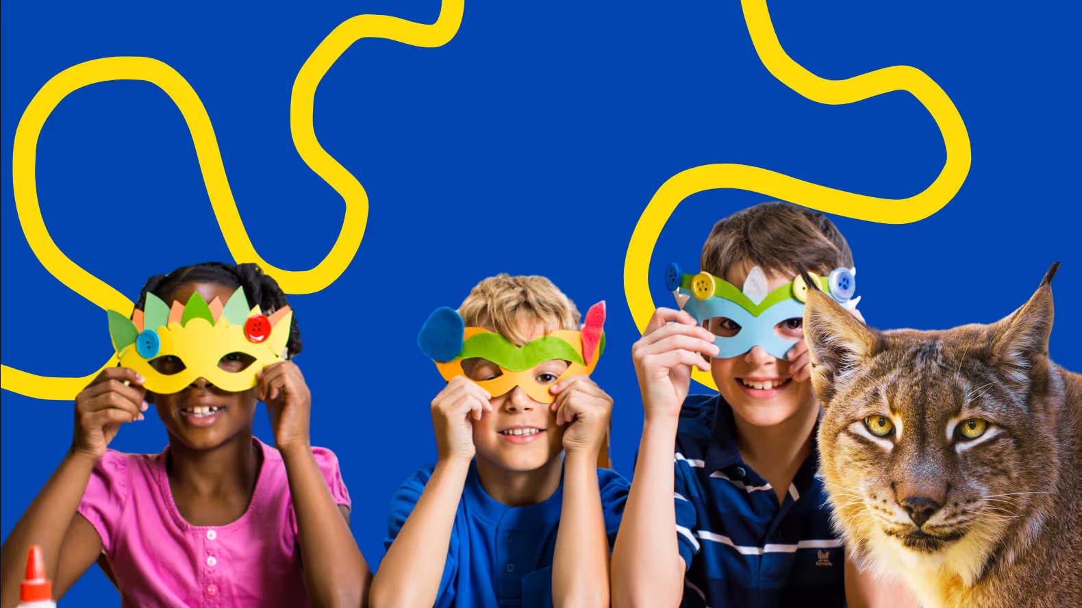 Finding the best homeschool curriculum: A personalized approach
