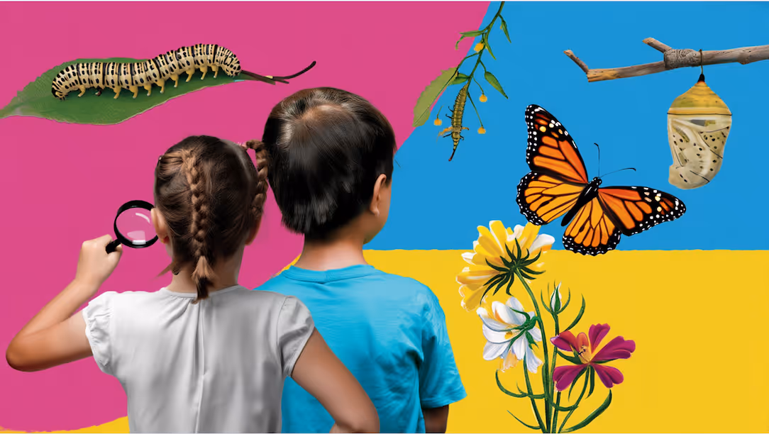 Biology homeschool curriculum: Choices, resources, and challenges