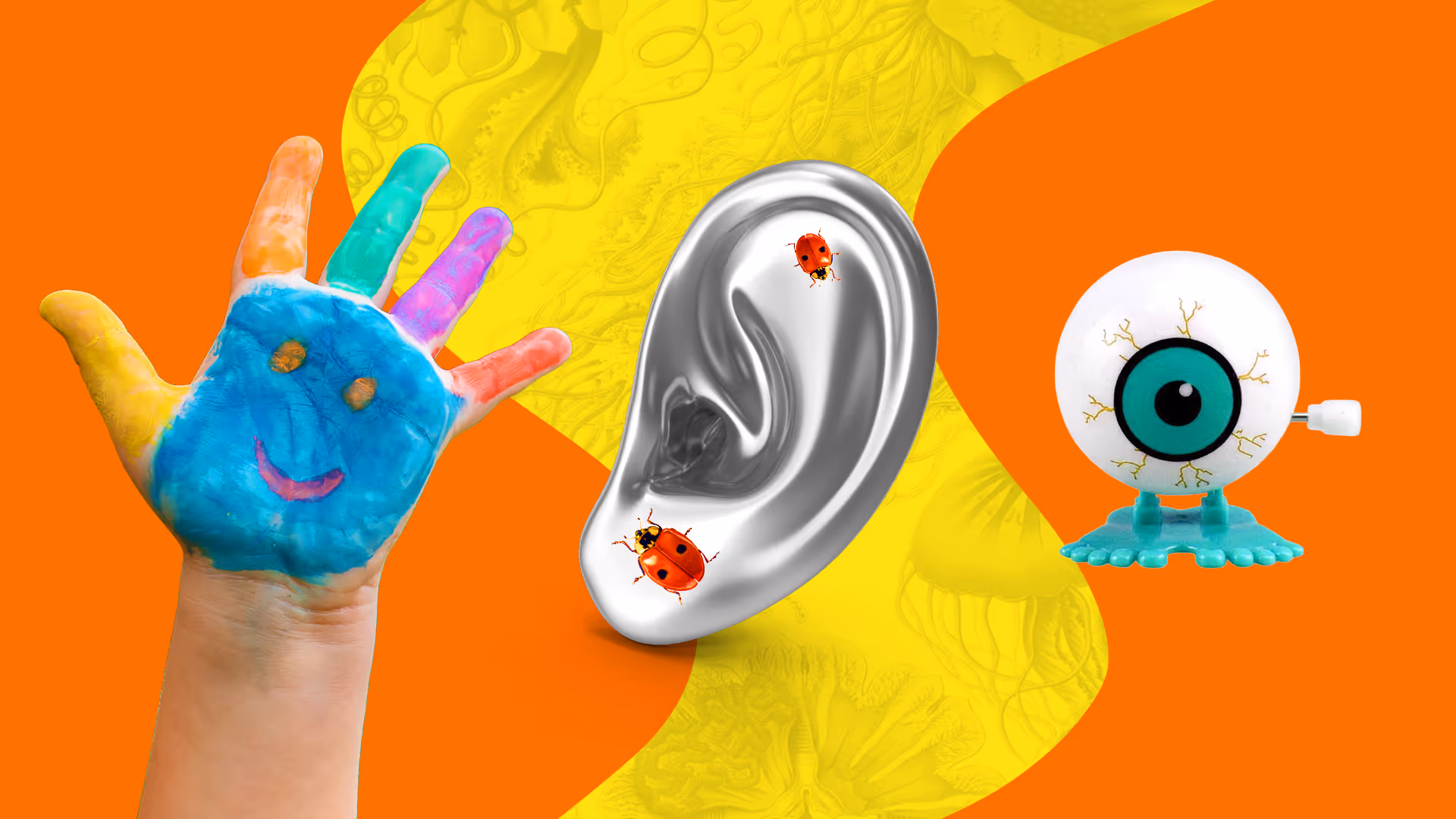 The myth of learning styles and what truly works in a modern school